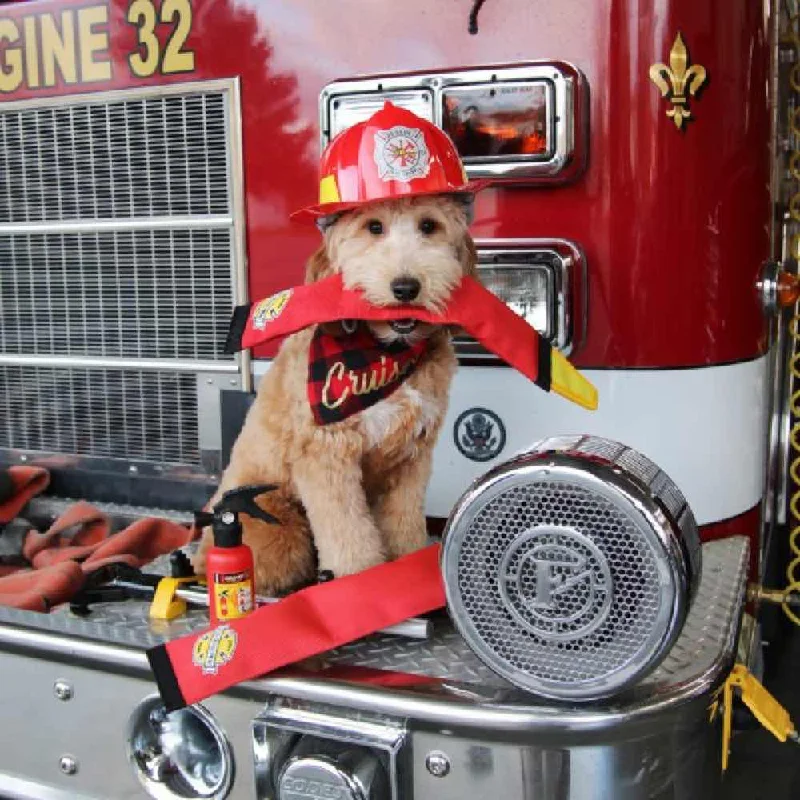 ZippyPaws Firehose Blaster Dog Toy