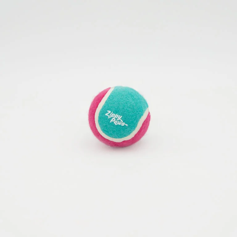 ZippyPaws - ZippyBallz Teal & Pink