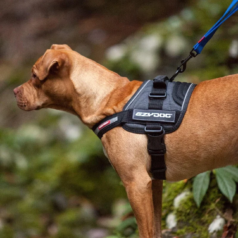 EzyDog Convert Harness