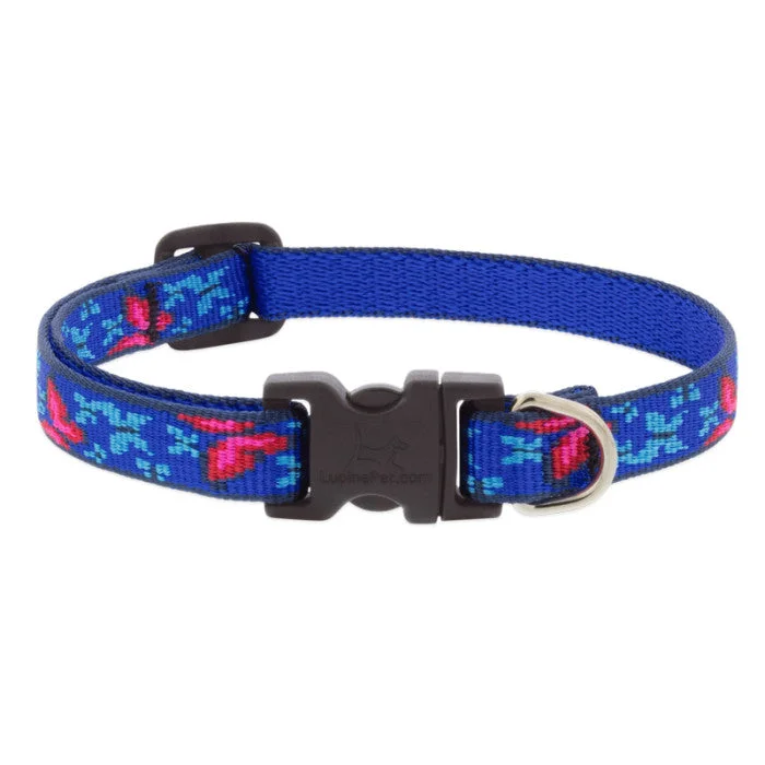 Lupine Pet Social Butterfly Dog Collars