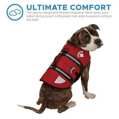 Paws Aboard Life Jacket