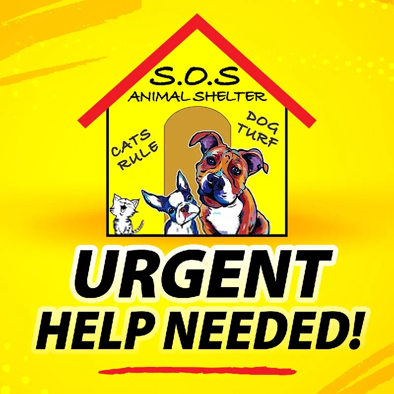 Save SOS Animal Shelter